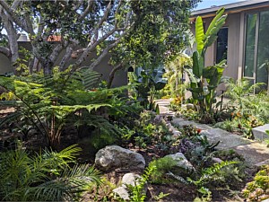 Custom Landscape Renovation - La Jolla #2